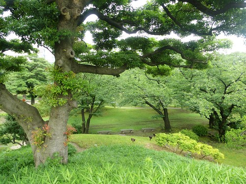jp16-Tokyo-Jardin Kyu-Shiba-rikyu (11)