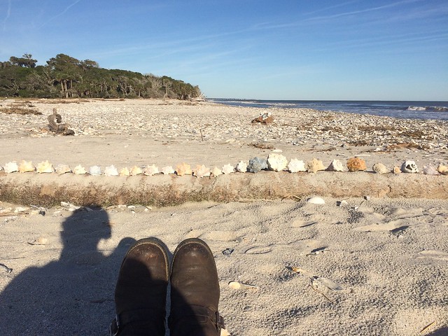 Sea Shells and Southern Homes. Botany Bay, Charleston, and to Atlanta. November 18-21, 2015.