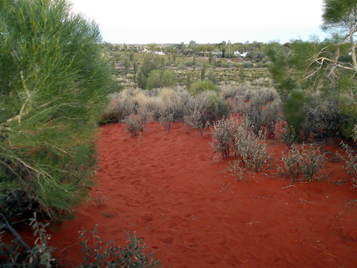 042 Uluru Red