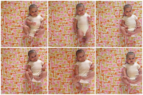 Six Months Collage