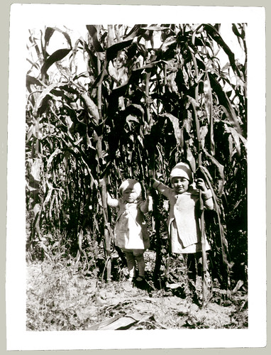 Two little ones in a corn field