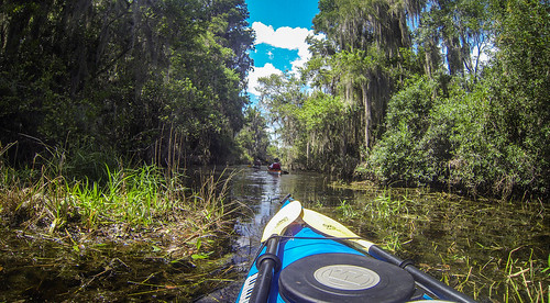Lowcountry Unfiltered at Okefenokee-77