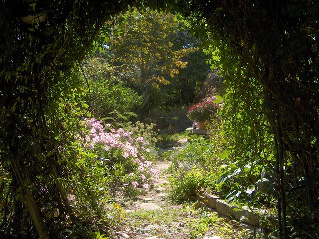 garden 2010