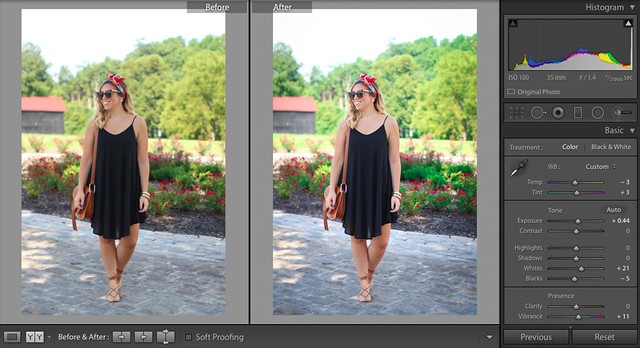 How to Edit your Blog Photos in Lightroom with Dreamy Presets