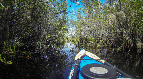 Lowcountry Unfiltered at Okefenokee-111