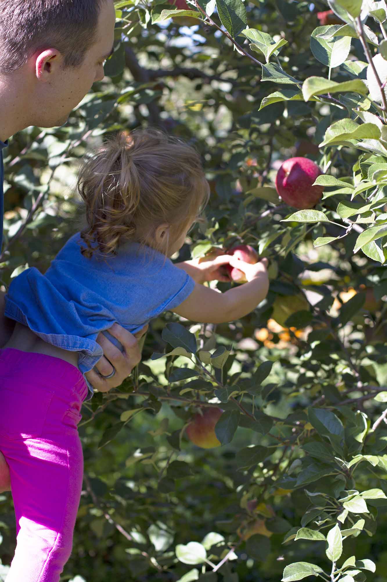 Avery at the Apple Orchard | www.girlversusdough.com @girlversusdough