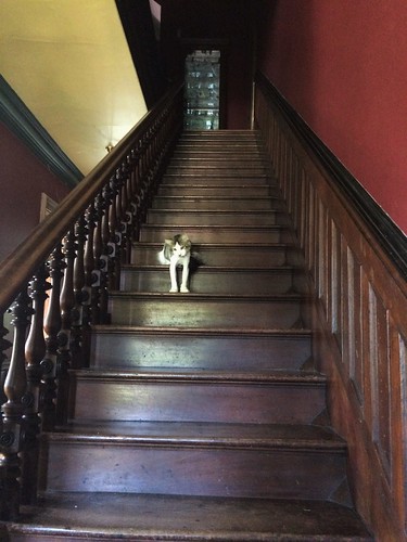 Clark waits on the staircase...
