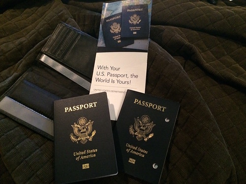 New and old passport