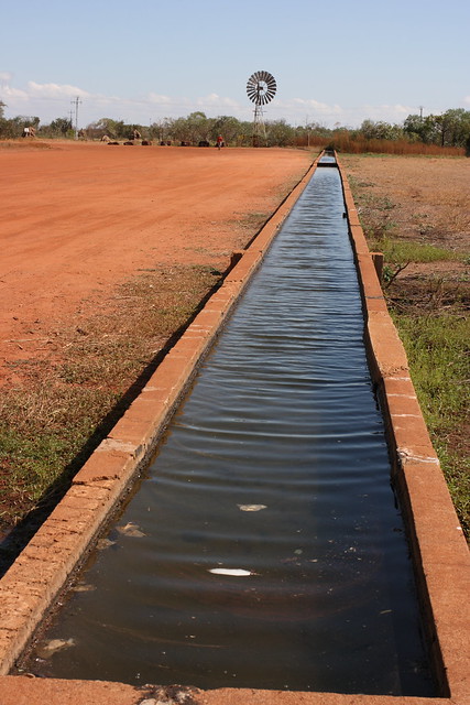 Myalls bore and cattle trough
