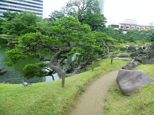 jp16-Tokyo-Jardin Kyu-Shiba-rikyu (9)