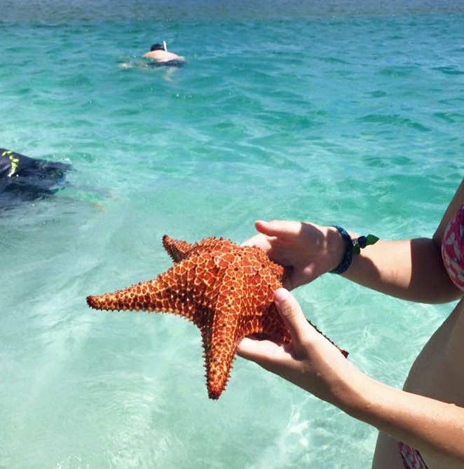 starfish-beach-cayo-jutias