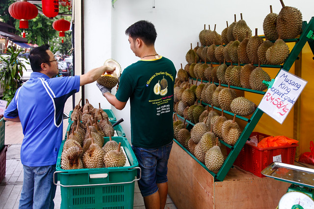 Durian Testing