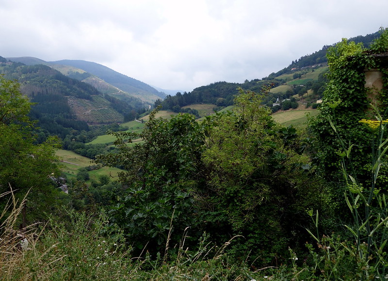 Recorriendo Asturias: coche, senderismo y canoa - Blogs of Spain - LUARCA. TAPIA DE CASARIEGO, CASTROPOL Y TARAMUNDI. (49)