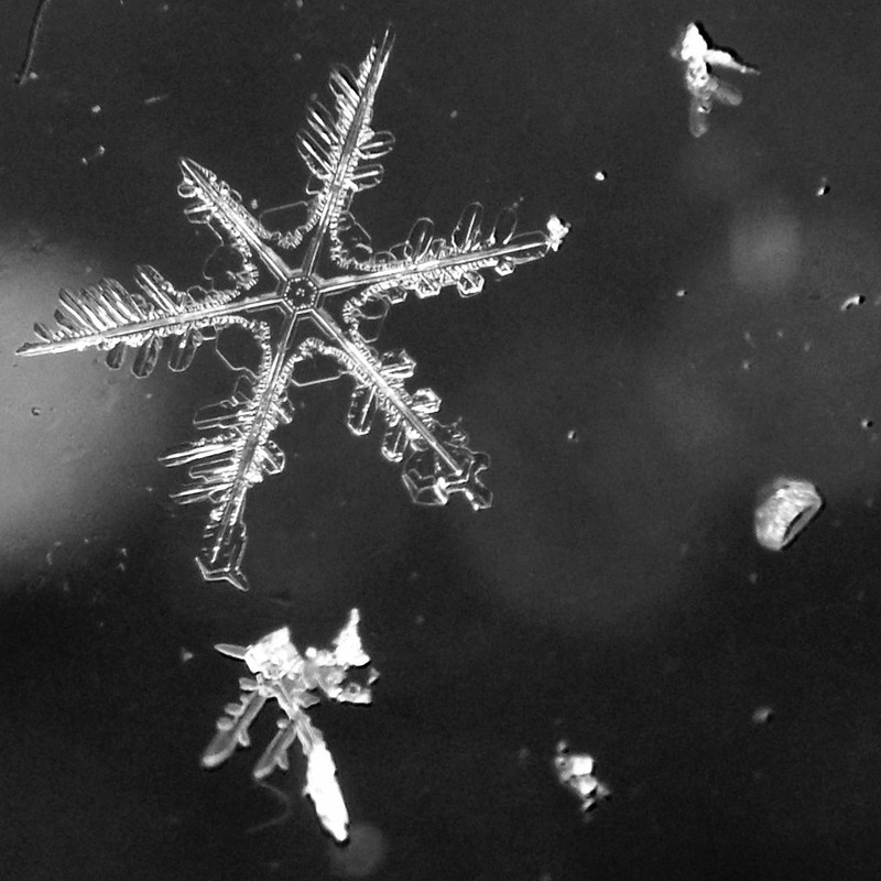 Snowflake on glass (IMG_7412.JPG)