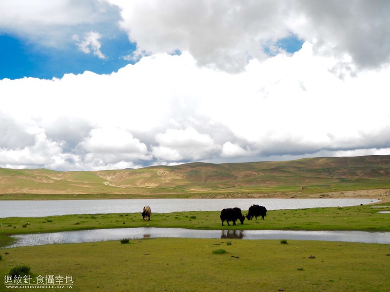 西藏 納木措
