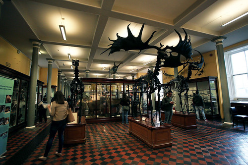 Museo di storia naturale