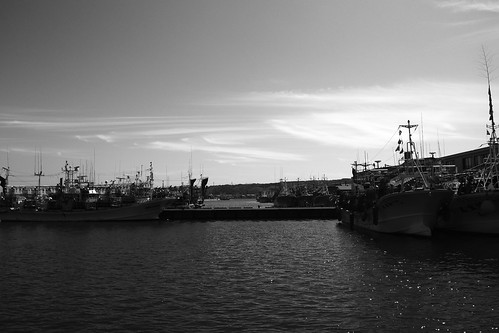Port of Wakkanai on AUG 04, 2016 (2)