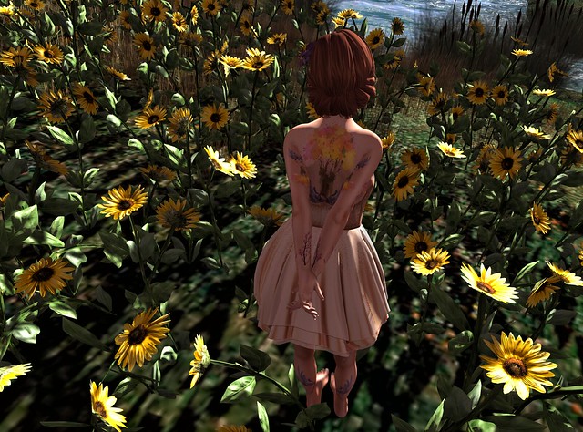 Between sunflowers and melancholy