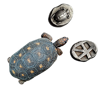 Aegina Sea Turtle coins