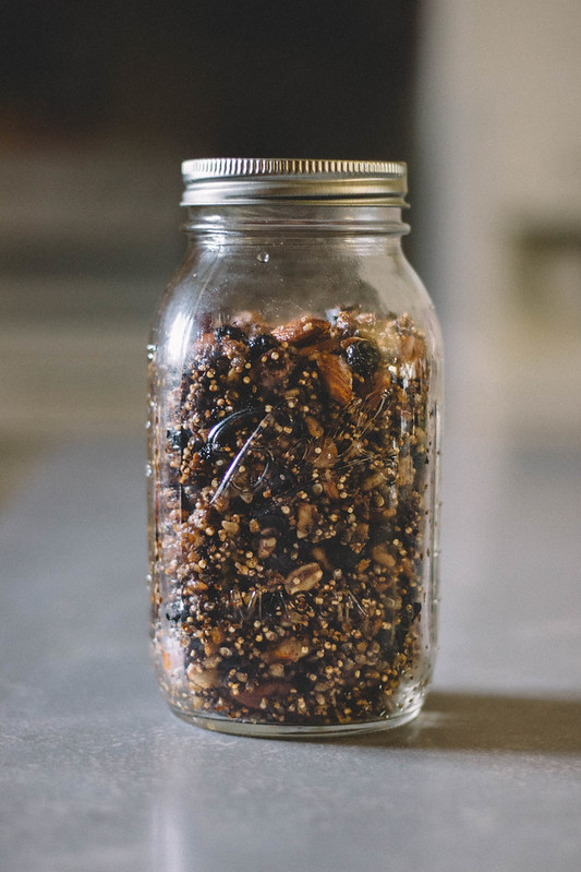 Gluten-Free Quinoa & Dried Blueberry Granola // TermiNatetor Kitchen