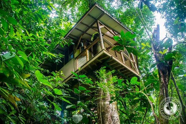 Finca BelleVista Treehouse Costa Rica