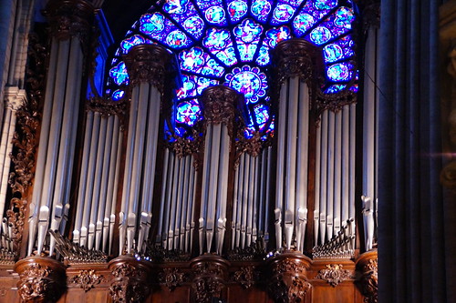 Paris - Blogs de Francia - Notre Dame, Museo de la Edad Media, Arenas de Lutece,...7 de agosto (16)
